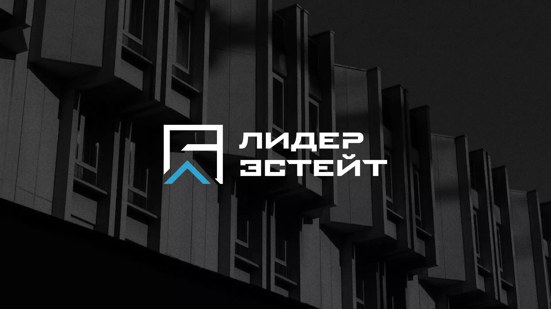 Разработка логотипа агентства недвижимости «Лидер Эстейт» в Поронайске